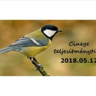 Siófok túra 2018. Cinege teljesítménytúrák Siófok túra 2018. Cinege teljesítménytúrák