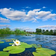 Tisza tó csapatépítés, indoor és outdoor csapatépítő tréningek a Tisza Balneum Hotelben**** Tisza tó csapatépítés, indoor és outdoor csapatépítő tréningek a Tisza Balneum Hotelben****