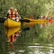 GPS-es kincskeresés kenuval, csapatépítő puzzle keresés a Tisza-tónál, szállással GPS-es kincskeresés kenuval, csapatépítő puzzle keresés a Tisza-tónál, szállással