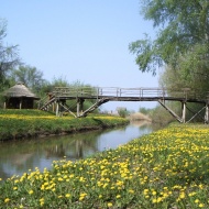 3 napos osztálykirándulás a Tisza-tónál, Öko kalandtúra a Szabics Kikötővel 3 napos osztálykirándulás a Tisza-tónál, Öko kalandtúra a Szabics Kikötővel
