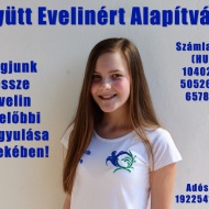 Jótékonysági kutyás séta az `Együtt Evelinért Alapítvány` javára Jótékonysági kutyás séta az `Együtt Evelinért Alapítvány` javára
