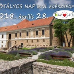 Ispotályos Nap és Egészségpiac 2019 Pécsvárad Ispotályos Nap és Egészségpiac 2019 Pécsvárad