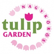 Tulipánszüret Nagykőrös 2023 Tulipánszüret Nagykőrös 2023