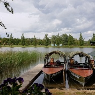 Osztálykirándulás a Tisza-tóhoz, fedezzék fel kishajókkal a tó csodálatos természeti szé pségeit