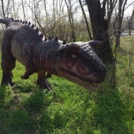 Dino Park Gyulán, szabadtéri dinoszaurusz kiálllítás és élménypark őskori dinoszauruszokkal