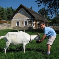 Állatfarm látogatás a Balatonnál, garantált program Gyenesdiáson Állatfarm látogatás a Balatonnál, garantált program Gyenesdiáson