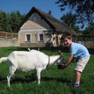 Állatfarm látogatás a Balatonnál, garantált program Gyenesdiáson