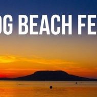 Balatoni kutyás strand programok 2019. Dog Beach Fest Balatoni kutyás strand programok 2019. Dog Beach Fest