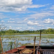 Őszi süllőzés, őszi horgászat a Tisza-tónál, szállással a Balneum Hotelben Őszi süllőzés, őszi horgászat a Tisza-tónál, szállással a Balneum Hotelben