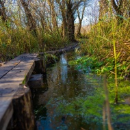 Tisza-tavi kerékpártúra Tiszafüredről, a Szabics Kikötő és Szabadidőpart szervezésében