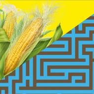 Kukorica-Útvesztő 2022 Kiszombor