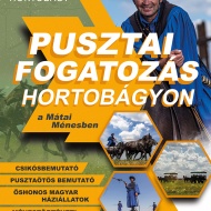 Pusztaprogram a Hortobágyon, csikósbemutató tavasztól őszig Pusztaprogram a Hortobágyon, csikósbemutató tavasztól őszig