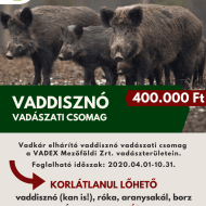 Vaddisznó vadászat 2020. Vadkár elhárító VADDISZNÓ vadászat a VADEX Mezőföldi Zrt. vadászterületein Vaddisznó vadászat 2020. Vadkár elhárító VADDISZNÓ vadászat a VADEX Mezőföldi Zrt. vadászterületein