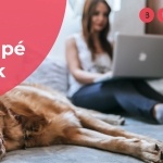 Budapesti tematikus séták 2020. Őszi online kanapé túrák Budapesti tematikus séták 2020. Őszi online kanapé túrák