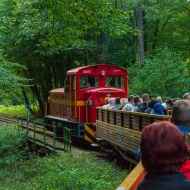 Mátravasút programok 2023 Gyöngyös Mátravasút programok 2023 Gyöngyös