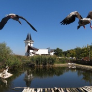 Poroszlói Ökopark látogatás a hét minden napján a Tisza-tónál