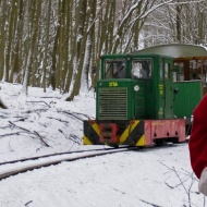 Nagybörzsönyi Erdei Vasút programok 2019 Nagybörzsönyi Erdei Vasút programok 2019