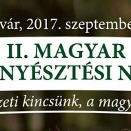 Magyar Lótenyésztési Napok 2017 Kaposvár Magyar Lótenyésztési Napok 2017 Kaposvár