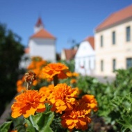 Balatonarácsi programok 2024