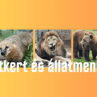 Veresegyház programok 2022 / 2023. Fesztiválok, rendezvények, események Veresegyház programok 2022 / 2023. Fesztiválok, rendezvények, események