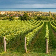 Balatonfüredi tavaszi programok 2021 Balatonfüredi tavaszi programok 2021