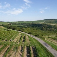 Tokaji programok 2019/2020. Események, rendezvények, fesztiválok Tokaji programok 2019/2020. Események, rendezvények, fesztiválok