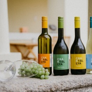 Meglepetés buli Tokaj-hegyalja egyik ikonikus borkúriájában, rendezvények minden alkalomra Meglepetés buli Tokaj-hegyalja egyik ikonikus borkúriájában, rendezvények minden alkalomra