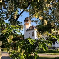 Gasztro csapatépítő program a Tisza-tónál, igazi vidéki gourmet, slow és raw food, bio ételek Gasztro csapatépítő program a Tisza-tónál, igazi vidéki gourmet, slow és raw food, bio ételek