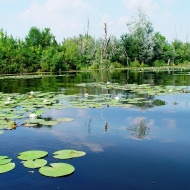 Óhalászi labirintuslátogatás, csapatépítő tréning szállással a Tisza-tónál Óhalászi labirintuslátogatás, csapatépítő tréning szállással a Tisza-tónál
