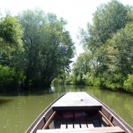 Csapatépítés a Tisza-tónál a Szabics Kikötő és Szabadidőpart szervezésében