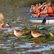 Egynapos családi kirándulás a Tisza-tóhoz a Tisza-tavi Ökocentrumba