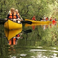 Tisza-tavi kenutúra túravezetővel és látogatás a Tisza-tavi Ökocentrumban Poroszlón