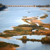 Osztálykirándulás Tiszafüredre, kirándulás a Tisza-tó természeti csodáihoz