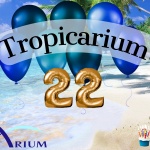 Tropicarium Születésnap 2022. 22 éves a Tropicarium! Tropicarium Születésnap 2022. 22 éves a Tropicarium!