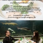 Különleges romantikus vacsora a víz alatt, élmény egyedi alkalmakra a Tisza-tavi Ökocentrumban Különleges romantikus vacsora a víz alatt, élmény egyedi alkalmakra a Tisza-tavi Ökocentrumban