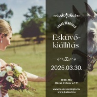 Esküvő kiállítás Mór 2025