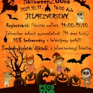 Jelmezes Buli 2021. Jelmezverseny a Pécsi Állatkertben Jelmezes Buli 2021. Jelmezverseny a Pécsi Állatkertben