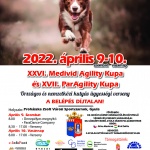 Medivid Agility Kupa és ParAgility Kupa 2021 Gyula Medivid Agility Kupa és ParAgility Kupa 2021 Gyula