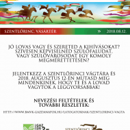 Szentlőrinci Vágta 2018. A Nemzeti Vágta előfutama Szentlőrinci Vágta 2018. A Nemzeti Vágta előfutama