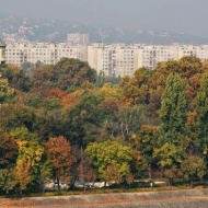 Szigetfutás 2024 Margitsziget