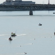 Duna átúszás Budapest 2019 Duna átúszás Budapest 2019