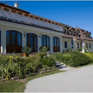 Wellness szállás fejér megyében, családi üdülés lovaskocsikázással a Hétkúti Wellness Hotelben Wellness szállás fejér megyében, családi üdülés lovaskocsikázással a Hétkúti Wellness Hotelben