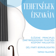 Tehetségek Éjszakája 2020 Fonyód Tehetségek Éjszakája 2020 Fonyód