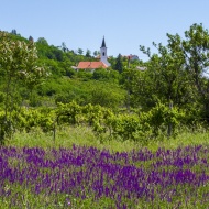 Nyárbúcsúztató és Vendégmarasztaló Fesztivál 2019 Alsóörs Nyárbúcsúztató és Vendégmarasztaló Fesztivál 2019 Alsóörs