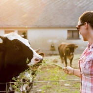 Biofarm látogatás Garaboncon, gyümölcs-és zöldségtermesztés, állattenyésztés egy élménygazdaságban Biofarm látogatás Garaboncon, gyümölcs-és zöldségtermesztés, állattenyésztés egy élménygazdaságban