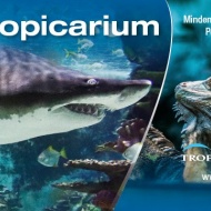 Tropicarium programok 2024 Budapest