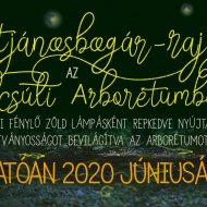 Szentjánosbogár rajzás 2020. Szentjánosbogár tánc és éjszakai fényjáték az Alcsúti Arborétumban Szentjánosbogár rajzás 2020. Szentjánosbogár tánc és éjszakai fényjáték az Alcsúti Arborétumban