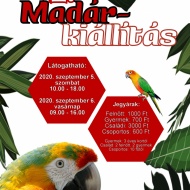 Díszmadár kiállítás Sopronban, a GYIK Rendezvényházban Díszmadár kiállítás Sopronban, a GYIK Rendezvényházban