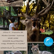 Látványetetés a Körösvölgyi Látogatóközpont és Állatparkban 2020 Látványetetés a Körösvölgyi Látogatóközpont és Állatparkban 2020