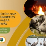Szent Dömötör-napi Behajtási ünnep és Darufesztivál 2023 Hortobágy Szent Dömötör-napi Behajtási ünnep és Darufesztivál 2023 Hortobágy